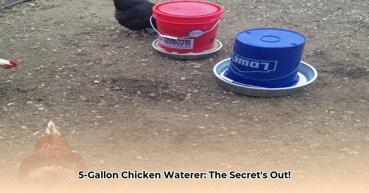 5-gallon-chicken-waterer-tractor-supply